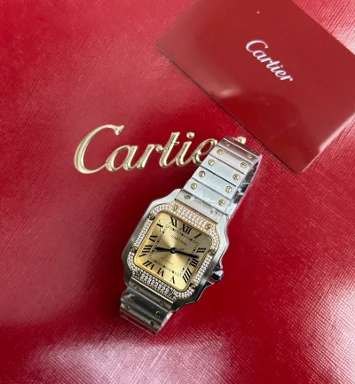 Cartier Panthere de Cartier Silver Dial Steel Pink Gold