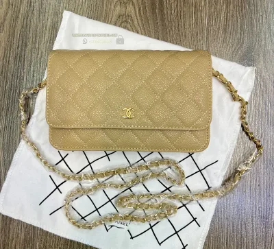 Chanel Classic Ladies Wallet with Chain In Beige