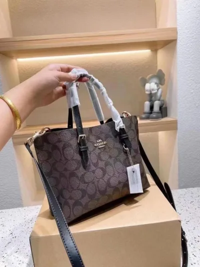 Coach Mollie Handbags