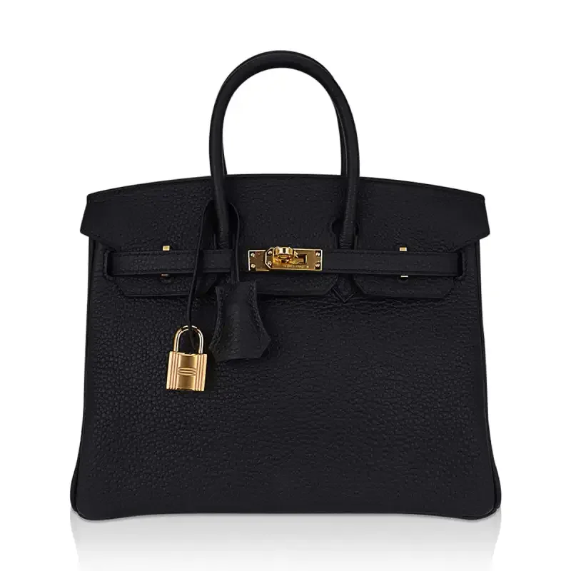 Hermes Birkin 25 Medium With Dust Cover